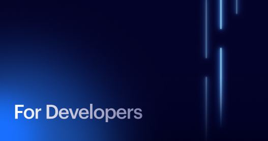 Volt Class Api Volt | How to integrate our API | For developers